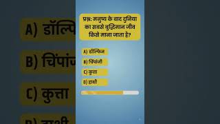 मनुष्य के बाद दुनिया का सबसे बुद्धिमान जीव कौन है? 🧠😱 #shorts #gk #trending