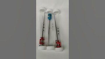 gạt rọng câu cá