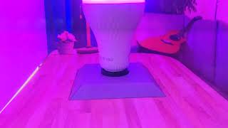 Ecosmart Bluetooth speaker light bulb LED home Depot in store display color changing A19 1009527730