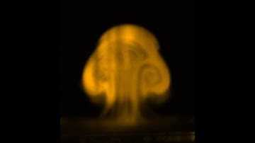 V-004: Internal Flow in a Bubble Bursting at an Interface