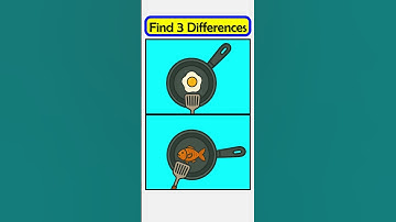 This pan is frying, but notice there are some differences #211
