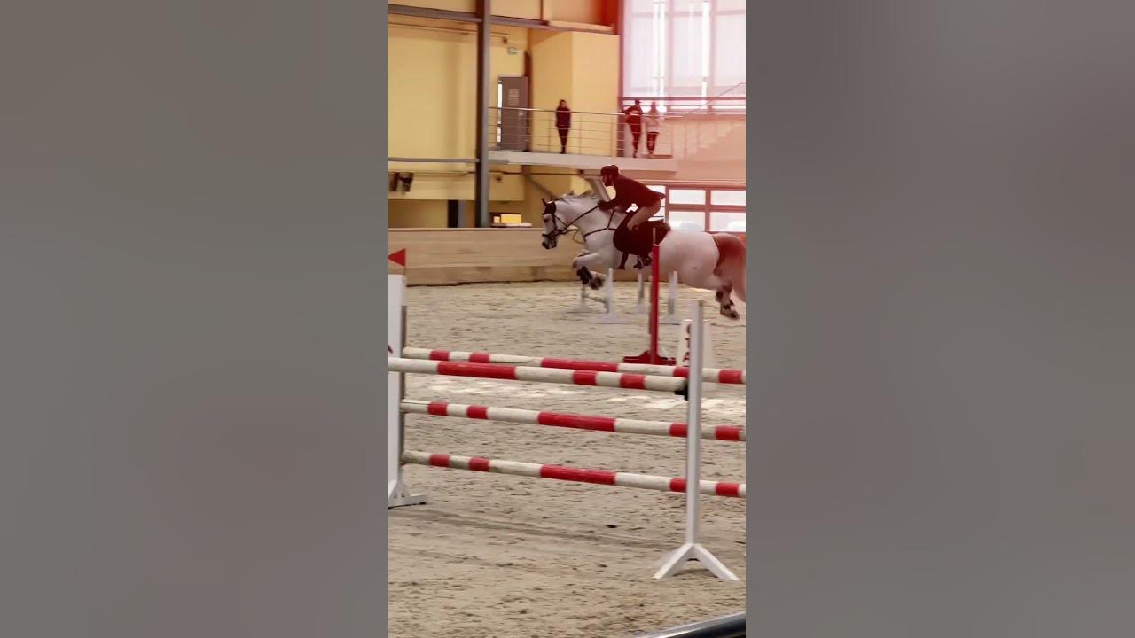 Конкур - одно из самых лучших направлений в конном спорте. Сколько мощи ...