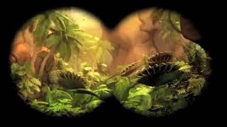 Red Bee Tv 7 & Super 7 - Channel Branding