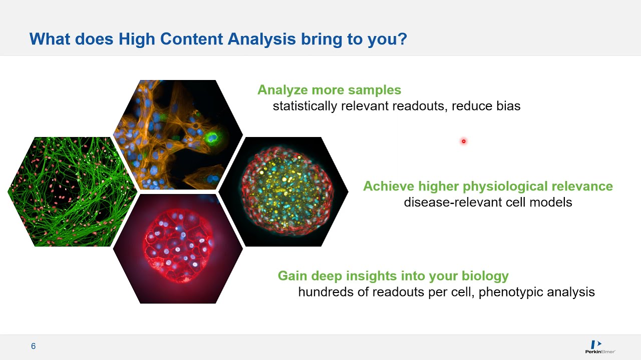 Operetta® High Content Imaging System by Perkin Elmer Pte Ltd