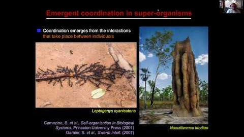 Session 1 of 2020 ACM Collective Intelligence Conference