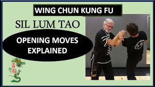 WING CHUN - SIL LUM TAO OPENING MOVES EXPLAINED