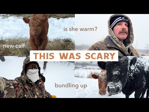 The Snowstorm That Had Us Worried