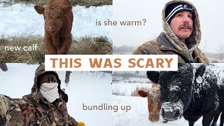 The Snowstorm That Had Us Worried