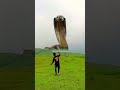 Funny Snake Video