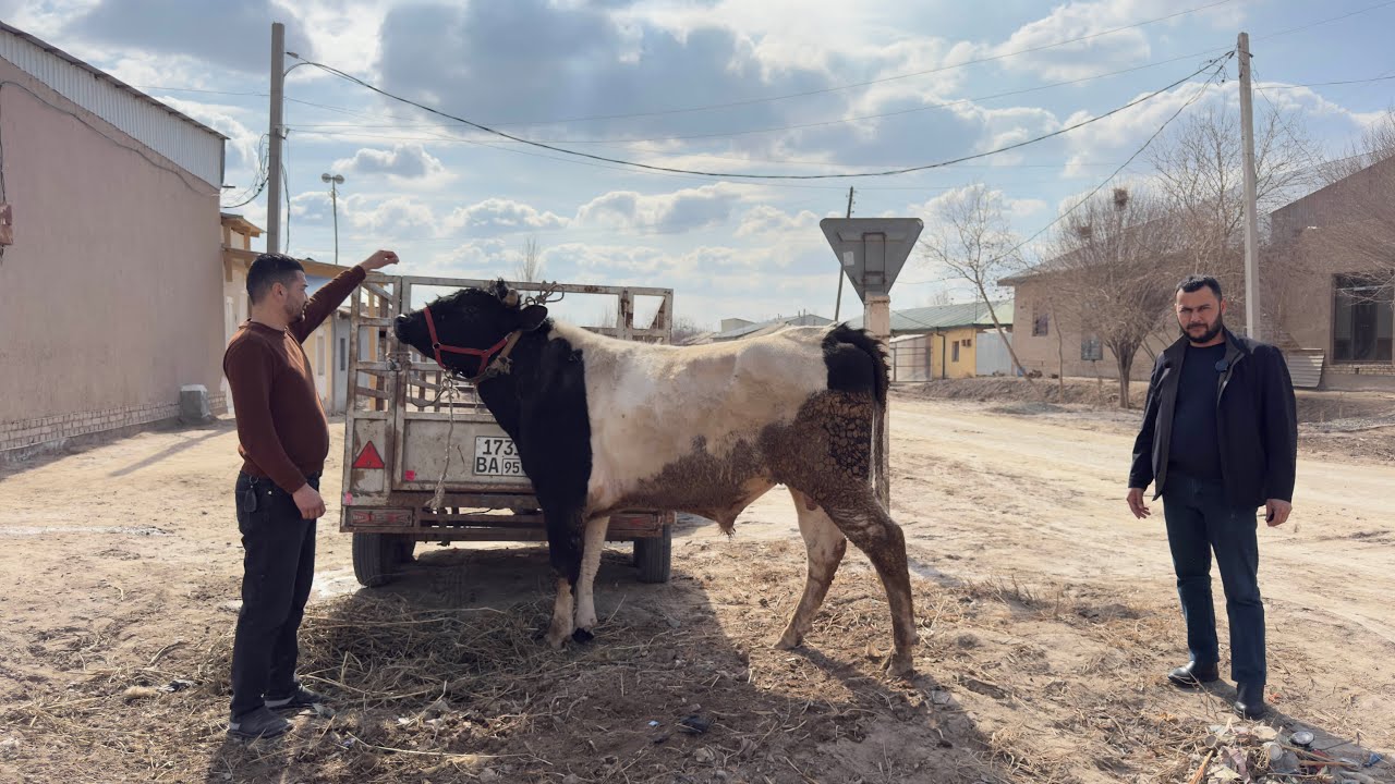  БЕРУНИЙ СОВХОЗ  ЖУМА  АКЦИЯСИ АРЗОН НАРХДА  05.03.2026