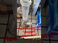 how to clean a stuck/clogged downstem or bong