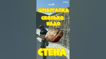 Сколько надо КАМНЕЙ на РЕЙД стены в игре RUST / РАСТ  #rust #раст #iq #shortsrust #funny #шпаргалка