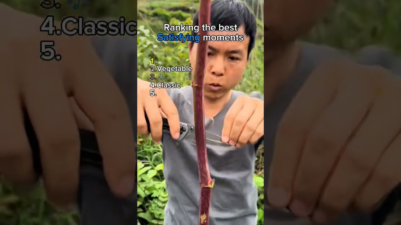 Ranking the best Satisfying moments.