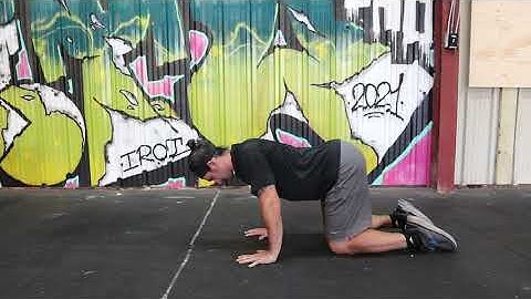 Quadruped shoulder rotation and scapular circles