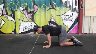 Quadruped shoulder rotation and scapular circles