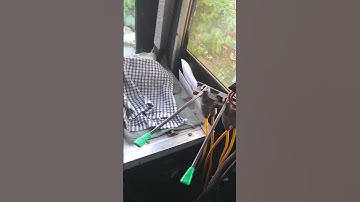 Bus air horn sound test #car #shorts #horn #trend