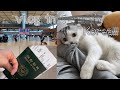 🇩🇪독일 vlog/ 방학 맞이 한국 입국!!✈️ (이라고 쓰고) 레오 영상😽(이라고 읽기ㅎㅎ)