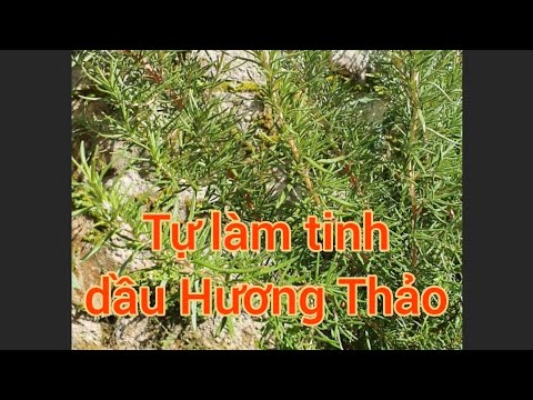 Video: Làm thế nào để nướng gà: 13 bước (có hình ảnh)