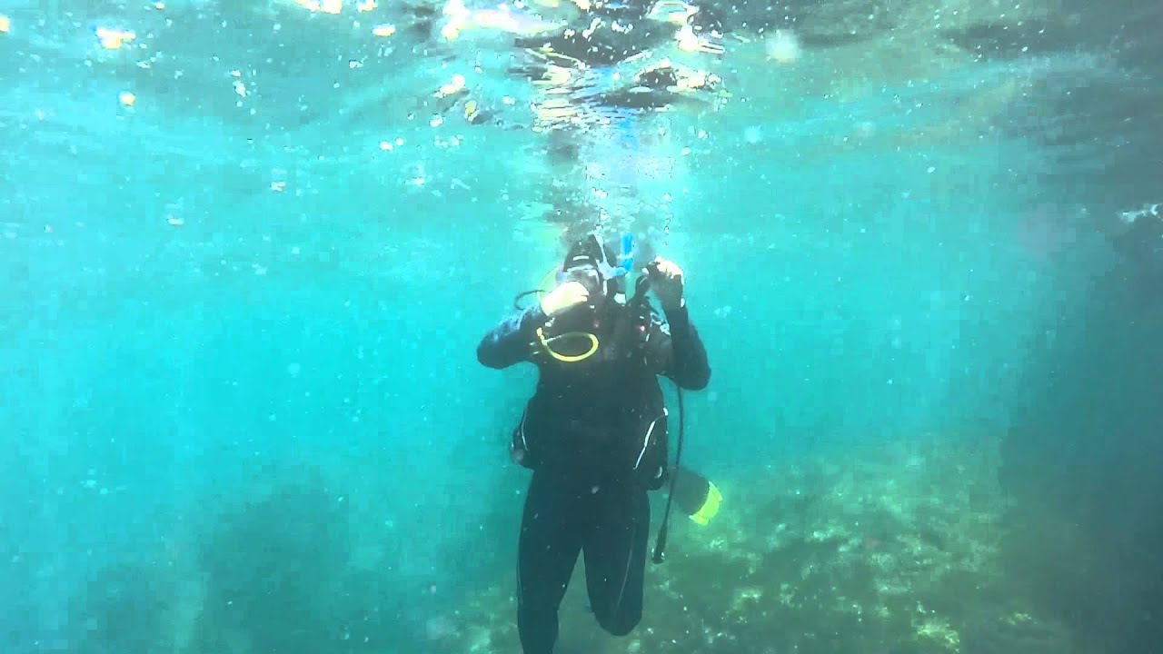 Sherman & Alex Mohler Scuba Diving in San Carlos, Mexico - YouTube