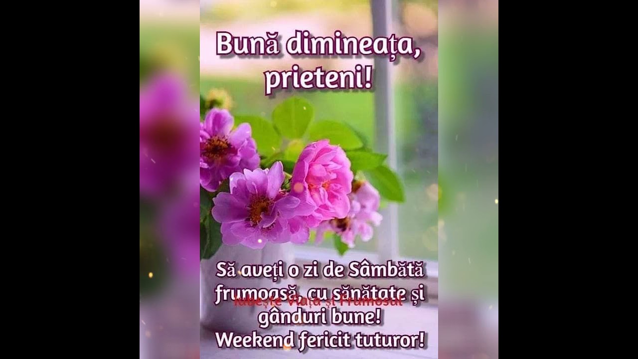 Weekend minunat 馃グ YouTube Weekend minunat 馃グ YouTube