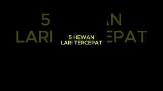Urutan Hewan Lari tercepat #shorts #faktahewan #animals