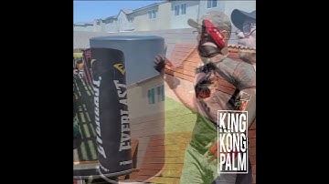 Kung fu Snake Style bag work with Master Ron.