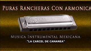 PURAS RANCHERAS CON ARMONICA MUSICA INSTRUMENTAL MEXICANA 12 EXITOS PEGADITOS