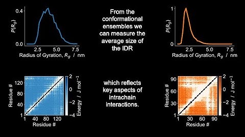 The IDRome: Conformations of the Human Intrinsically Disordered Proteome