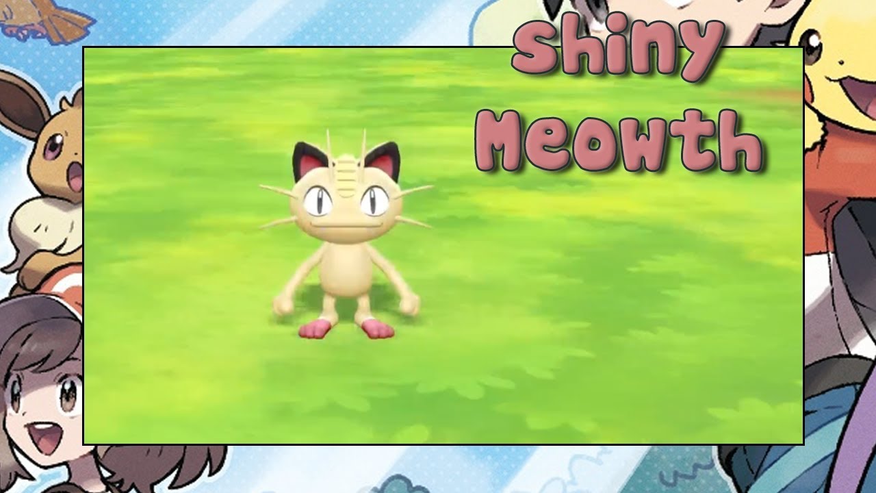 Live Shiny Meowth Cadena 20 Pokémon Lets Go Eevee