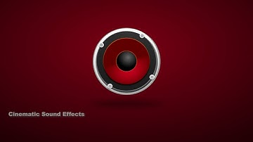 Camera Shutter #2 Sound Effect