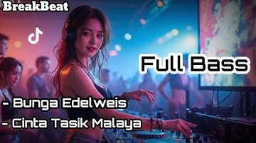 DJ BREAKBEAT FULL BASS - BUNGA EDELWEIS - THOMAS ARYA | VIRAL TIKTOK TERBARU 2025
