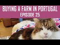 Buying a Farm in Portugal - Episode 25 - We Bought a Farm!!!