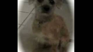 Ambient Trance - Dj Cheri