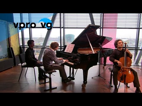 Nicolas Altstaedt & Frank van der Laar - M.Rostropovich/ opus 5 - Humoresque (live)