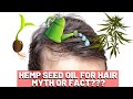 Hemp Seed Oil Hair Growth - MYTH or FACT???