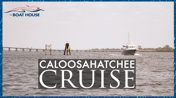 Southwest Florida: A cruise on the Caloosahatchee River!
