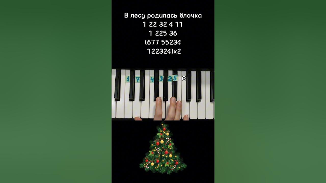 Елочка на пианино цифры. В лесу родилась елочка потцифрам. Елочка на фортепиано для начинающих. Ноты по цифрам. В лесу родилась ёлочка на пианино для начинающих по цифрам.