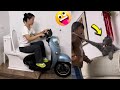 Randomly funnys  try not to laugh compilation  comedy moments  funtush