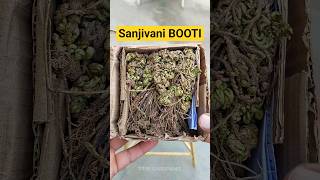 Mene Bhi Sanjivani Booti Manga Hi Li