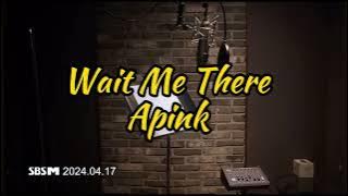 APINK Wait me there sub indo