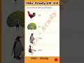 कौन सा पक्षी जो उड़ नहीं सकता है? || with bird never fly || #gkfacts #gkquiz #shortfeed #birds