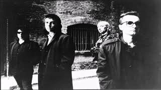 Watch Cactus World News Church Of The Cold video