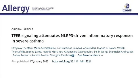 TFEB signaling attenuates NLRP3 driven inflammatory responses in severe asthma
