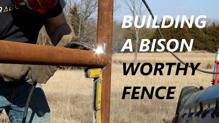 Weeks away from purchasing BISON the fence is going up!