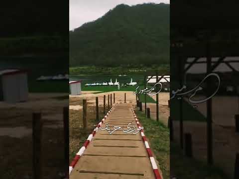 عمتيه زمزم البلوشي حالات واتس