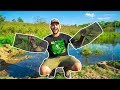 Using MINNOW TRAPS in My BACKYARD POND!!! (Surprising Result!)