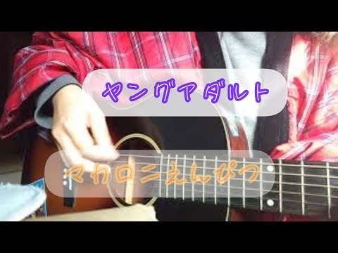 ヤングアダルト／マカロニえんぴつ サビ 弾き語りカバー