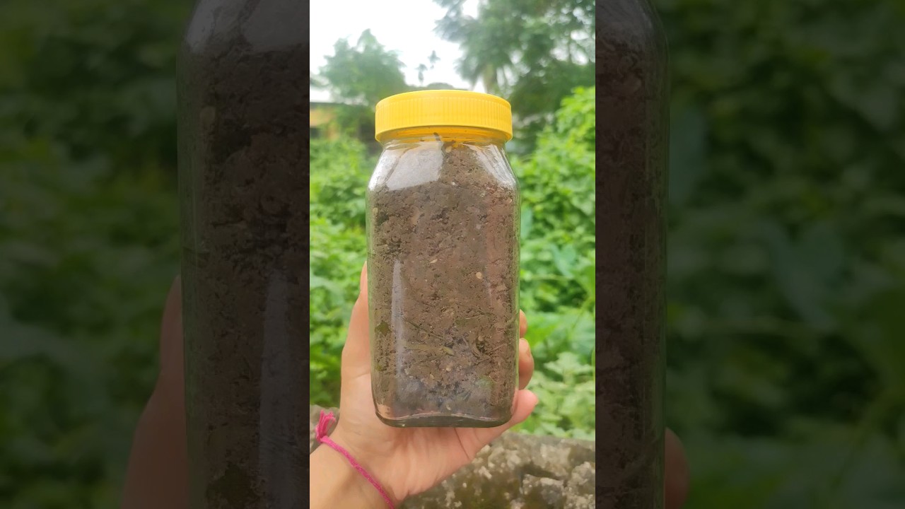 Namsing||sidol||Assamese fermented dry fish