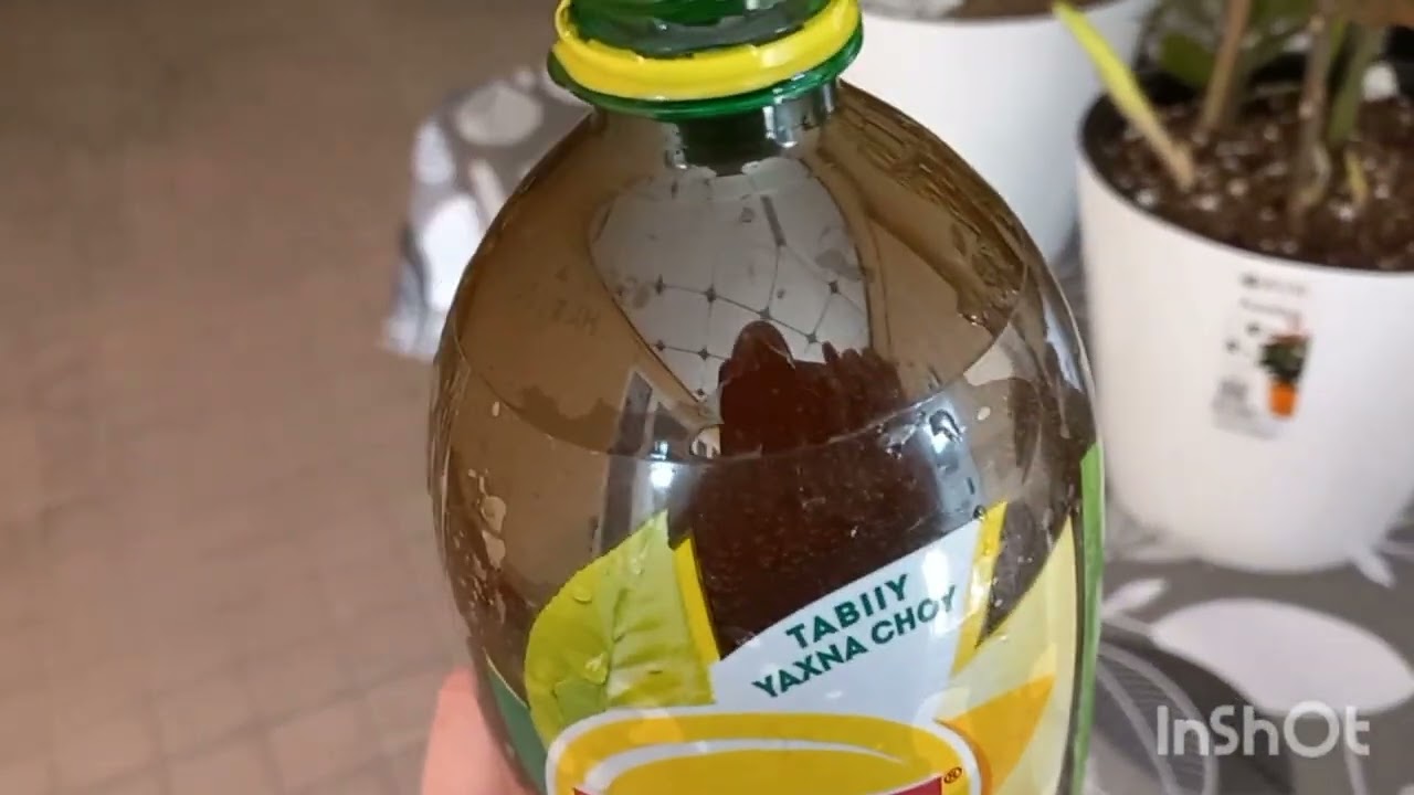 20 ФЕВРАЛЬ  ГУЛЛАРИМНИ ЭКДИМ🪴🪴🌲🌲🍁🍁🍀🍀🪴🪴☘️☘️🍁🍁🪴🪴🌵🌵🪴