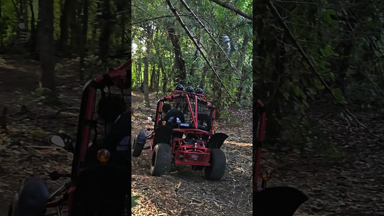 Offroad Gokart 200cc